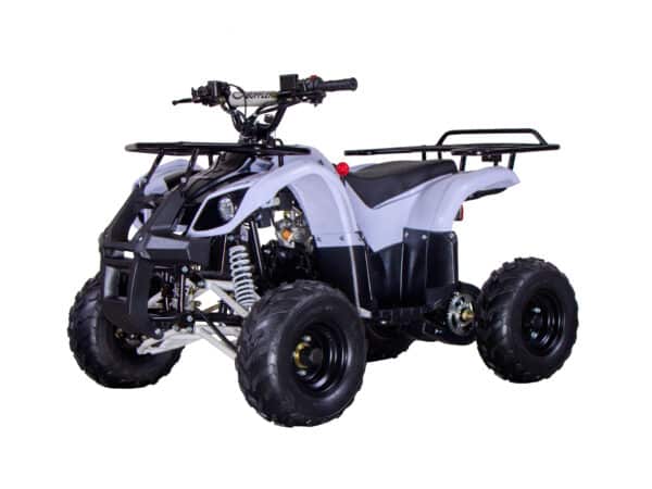 Dětská benzínová čtyřkolka BUFFLER XW110Y