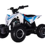 Dětská benzínová čtyřkolka BUFFLER XW90Y