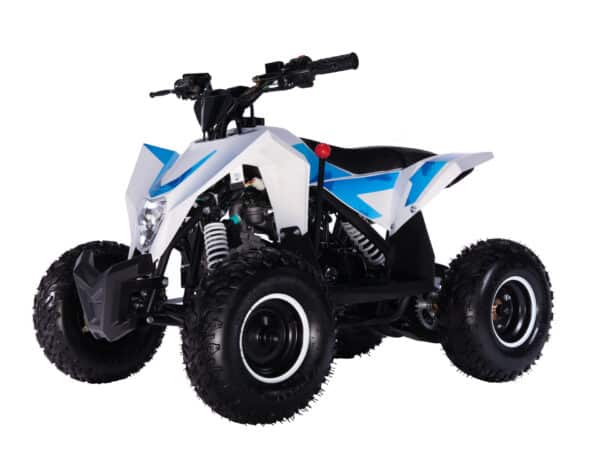 Dětská benzínová čtyřkolka BUFFLER XW90Y