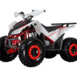 Dětská benzínová čtyřkolka BUFFLER XS150T