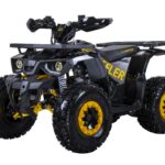 Dětská benzínová čtyřkolka BUFFLER XW125T